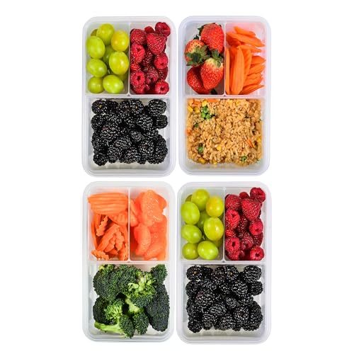FIT Strong & Healthy Bento Lunch Box & Meal Prep Containers, Food & Snack Storage for Adults & Kids, Microwave, Freezer, & Dishwasher Safe, Reusable, Airtight Lid, Removable Compartments, 39oz, 4 Pack - size: 4 Pack, 39 oz