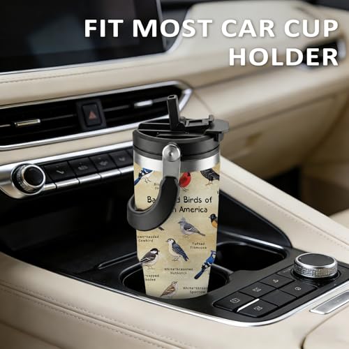 Bird Tumbler Cup with Handle 30 oz with Lid and Straw, Leak-proof Insulated Stainless Steel Coffee Tumbler with Bird Illustration Pattern and Species Names, Gift for Birds Watcher Nature Lover - color: Bird, size: 30 Ounces