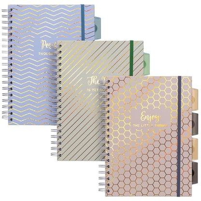 Pukka Pad Haze B5 Notebook – Pack of 3 Wirebound Notebooks with 5 Repositionable Dividers with Storage Pockets and Tabs for Organisation and Personalisation – 200 Pages, 100 Sheets of 80GSM Paper - color: Haze