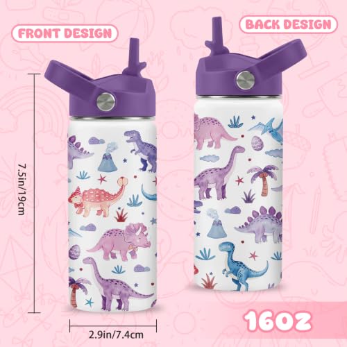 Hiboss Dinosaur Water Bottle for Kids, 16oz Kids Water Bottle Stainless Steel Insulated with Straw Lid, Purple Dino Travel Cup Tumbler Gift for Teens Girls Boys On School Sport - color: Dinosaur - 02