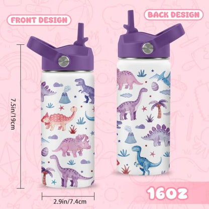 Hiboss Dinosaur Water Bottle for Kids, 16oz Kids Water Bottle Stainless Steel Insulated with Straw Lid, Purple Dino Travel Cup Tumbler Gift for Teens Girls Boys On School Sport - color: Dinosaur - 02