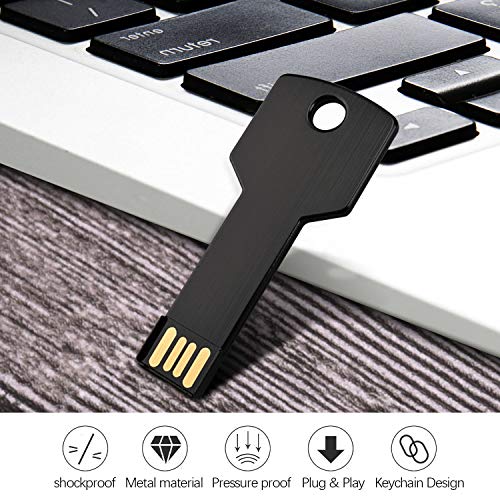 RAOYI 10 Pack 2GB USB Flash Drive USB 2.0 Metal Key Shape Memory Stick Thumb Drive Pen Drive-Black - color: Black, size: 2GB