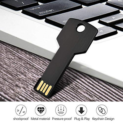 RAOYI 10 Pack 4GB USB Flash Drive USB 2.0 Metal Key Shape Memory Stick Thumb Drive Pen Drive-Black - color: Black, size: 4GB