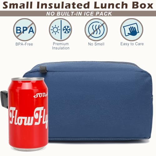 FlowFly Small Insulated Lunch box Portable Soft Bag Mini Cooler Thermal Meal Tote Kit with Buckle for Work, CyanWithBuckle - color: CyanWithBuckle