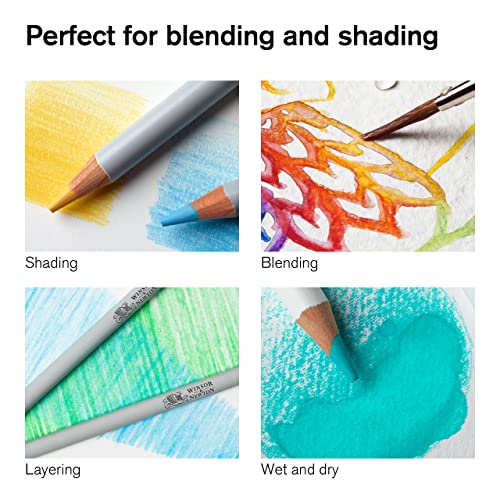 Winsor & Newton Studio Collection 아티스트 연필, 수채화 연필, 12개 세트 - style: 수채화 연필 12개