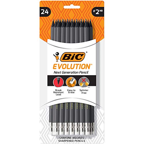 BIC Evolution Cased Pencil, 2 Lead, Gray Barrel, 24-Count - color: Gray, size: 1 Count (Pack of 1)