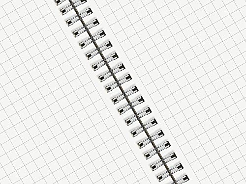 Large Graph Ruled Wirebound Spiral Notebook, 8.5 x 11 Inches, 1/4 Inch Grid (4 sq/in) Paper Pad, Premium 100gsm Ivory White Acid-Free Paper, 128 Squared/Grid Pages per Notebook (Pack of 2)