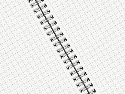Large Graph Ruled Wirebound Spiral Notebook, 8.5 x 11 Inches, 1/4 Inch Grid (4 sq/in) Paper Pad, Premium 100gsm Ivory White Acid-Free Paper, 128 Squared/Grid Pages per Notebook (Pack of 2)
