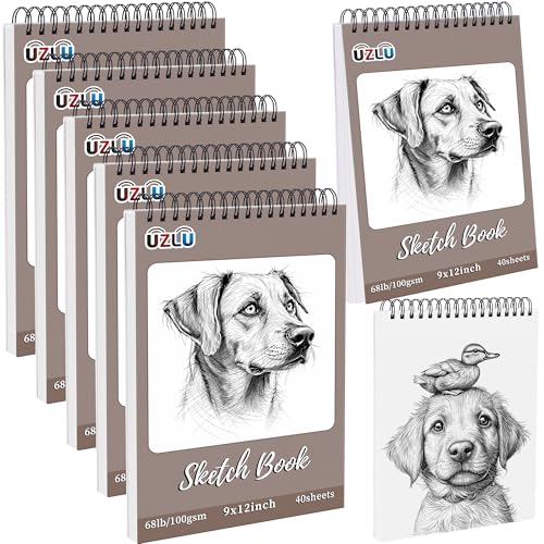 5 Pcs Sketch Book Bulk 9 x 12 in 200 Sheets Top Spiral Bound Sketch Pad Drawing Paper 40 Sheets Each Acid Free Mixed Media Sketchbook 68lb/100gsm Art Supplies for Beginner Artist - size: 9x12in, style: 5 Pack-Total 200 sheets