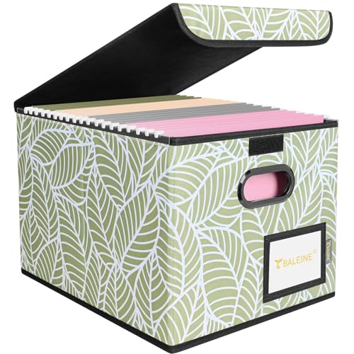 BALEINE File Organizer Box with Lid, Collapsible File Folder Organizer with Plastic Slide, Hanging File Folder Box for Office Document Storage (1 Pack, Antique Foliage) - color: Antique Foliage, size: 1 Pack