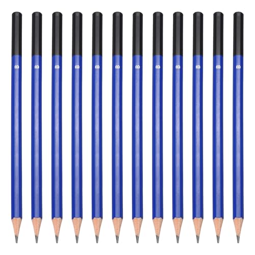 PATIKIL B Drawing Pencils for Sketching, 12PCS Sketch Pencils for Drawing Art Pencils Graphite Wood Pre-sharpened for Drawing Sketching Artists, B Pencils - size: 1 Count (Pack of 1), style: B