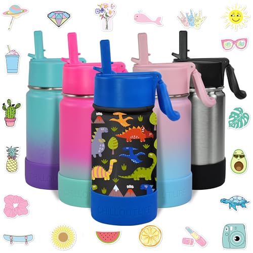 CHILLOUT LIFE 12oz Kids Insulated Stainless Steel Water Bottle with Leak Proof Straw Lid & 144 Stickers - color: Dinosaur, style: 12 oz