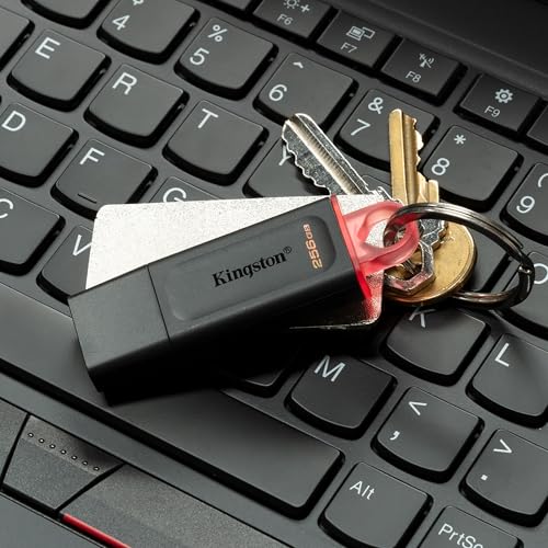 Kingston DataTraveler Exodia 256GB USB 3.2 Flash Drive DTX/256GB, Black - size: 256GB