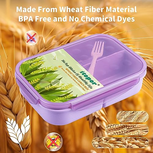 Itopor Bento Box for Kids & Adults, Lunch Box 46 oz, Lavender | Wheat straw material, BPA-free, leakproof, 3 compartments, microwave & dishwasher safe, for school, office & travel - color: Lavender