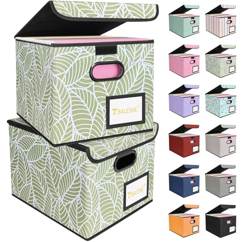 BALEINE File Organizer Box with Lid, Collapsible File Folder Organizer with Plastic Slide, Hanging File Folder Box for Office Document Storage (2 Pack, Antique Foliage) - color: Antique Foliage, size: 2 Pack