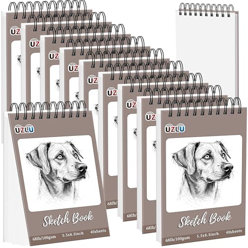 10 Pcs Sketch Books Bulk 5.5 x 8.5 in 400 Sheets Top Spiral Bound Sketch Pad Drawing Paper 40 Sheets Each Acid Free Mixed Media Sketchbook 68lb/100gsm Art Supplies for Beginner Artist - size: 5.5x8.5in, style: 10 Pack-Total 400 sheets