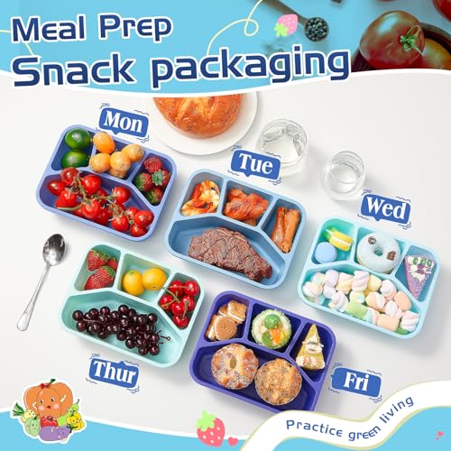 Honeydak 5 Pack Snack Containers 4 Compartment Bento Snack Boxes Reusable Lunchable Containers with Lids Divided Meal Prep Lunch Food Storage Box for School Work Travel(Blue Ombre,Mixed) - color: Blue Ombre, style: Mixed