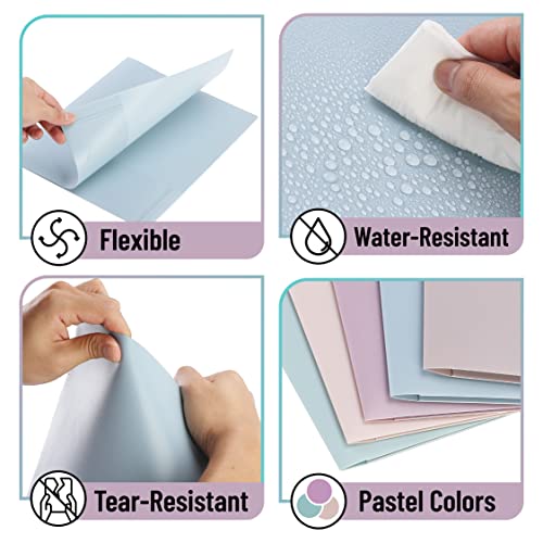 Mr. Pen- Plastic Folders with Pockets, 5 pcs | Aesthetic File Folder with Business Card Slot, 2-Pocket Folder, Back to School, Office, Filing Supplies - color: Pastel Colors, size: 5 Pack