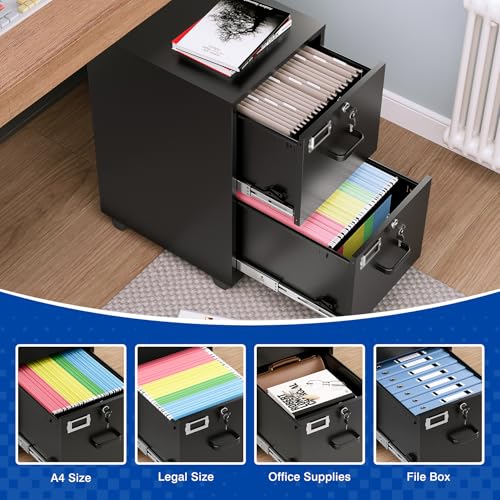 BYNSOE 2 Drawers File Cabinet with Lock Metal Vertical File Cabient with Wheels Mobile File Cabinet for Office Home Legal/Letter/a4 Size Require Assembly - color: Black, size: 2 Drawers-wheels