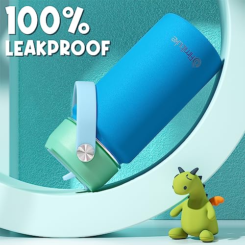 Fimibuke Kids Insulated Water Bottle, 14oz BPA FREE Double Wall Vacuum Tumbler 18/8 Stainless Steel Leak Proof Kids Cups with Straw Metal Water Bottle for School Boys Girls (2 Pack, Ocean Life) - color: B8. Ocean Life