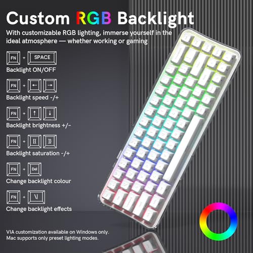 Womier Q61 PRO Wireless Keyboard with RGB Backlighting, 60% Mechanical Gaming Keyboard, Hot-Swappable Creamy Keyboard for PC, BT 5.0/2.4GHz/USB C, OEM Profile, Side-Engraved PC+ABS Keycaps - White - color: White