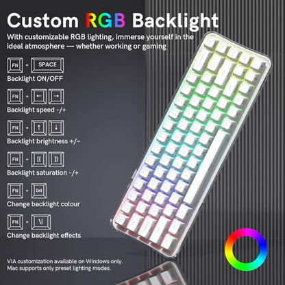 Womier Q61 PRO Wireless Keyboard with RGB Backlighting, 60% Mechanical Gaming Keyboard, Hot-Swappable Creamy Keyboard for PC, BT 5.0/2.4GHz/USB C, OEM Profile, Side-Engraved PC+ABS Keycaps - White - color: White