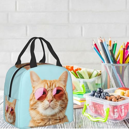 Sunglasses Cat Lunch Box - Insulated Lunch Bags for Women/Men Funny 3D Design Reusable Lunch Tote Bags, Perfect for Office/Camping/Hiking/Picnic/Beach/Travel - color: Sunglasses Cat