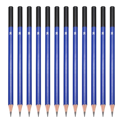 PATIKIL 3B Drawing Pencils for Sketching, 12PCS Sketch Pencils for Drawing Art Pencils Graphite Wood Pre-sharpened for Drawing Sketching Artists, 3B Pencils - size: 1 Count (Pack of 1), style: 3B