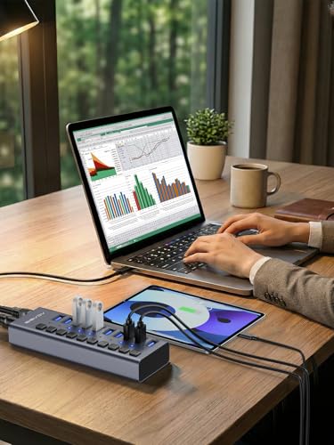Powered USB 3.2 Hub, ACASIS 10 Ports USB 3.2 Hub with 10Gbps Data Speed, Aluminum Housing, USB Hub Powered with 48W Power Adapter, USB Hub for PC/Laptop, Computer, Flash Drive, Printer, Camera - size: 10 ports