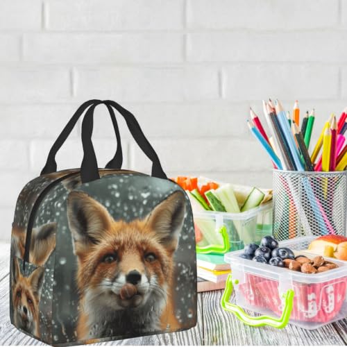 Funny 3d Fox Lunch Box Insulated Meal Bag Lunch Bag Reusable Snack Bag Food Container For Boys Girls Men Women School Work Travel Picnic - color: Funny Fox