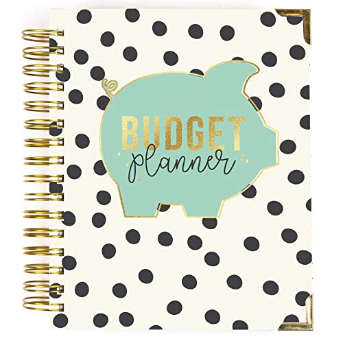 Pukka Pad, Carpe Diem Budget Planner Spiral Bound Notebook with 12 Month Calendar, Dividers, Inserts, and Sticker Sheets – Features Savings Goals & Tracker, Financial Overview, and Bank Information