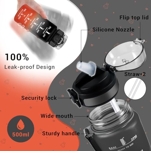 500ml Water Bottle with Straw, BPA Free Reusable Motivational Bottle with Time Marker, Leak Proof, Ideal for School, Office, Camping