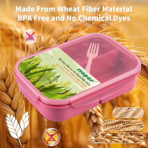 Itopor Bento Box for Kids & Adults, Lunch Box 46 oz, Dusty Pink | Wheat straw material, BPA-free, leakproof, 3 compartments, microwave & dishwasher safe, for school, office & travel - color: Dusty Pink