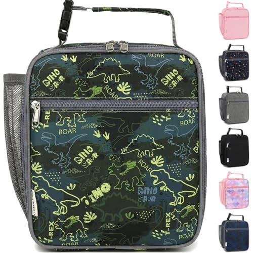 GYEUKHAM Lunch Box for Kids Boys Girls Men Women, Insulated Small Soft Cooler Lunch Bag Kit for School Work Picnic Travel - Reusable Portable lunchbox, Dinosaur Fossil Roar - color: Dinosaur Fossil Roar