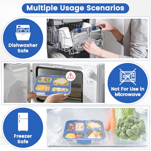 Stainless Steel Bento Box for Kids Adults with Silicone Container, Leak Proof 4 Compartments Metal Lunch Box, Removable Silicone Seal & Clear Lid Food Container for School Office, BPA-Free(Blue) - color: Blue