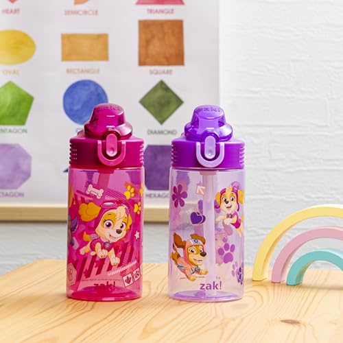 Zak Designs PAW Patrol Sage Kids Water Bottle For School or Travel, 16oz Durable Plastic Water Bottle With Straw, Handle, and Leak-Proof, Pop-Up Spout Cover, 2-Pack Set (Skye & Friends) - color: PAW Patrol (Skye & Friends)