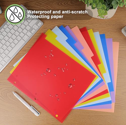 HABGP 12 Tab Dividers for 3 Ring Binder, 24 Pcs Multicolor 3 Ring Binder Dividers with Tabs, Page Folder Dividers, Plastic Tabbed File Dividers with Tabs, Three Ring Binder Index Dividers, 2 Set - size: 2 set (24 pcs)