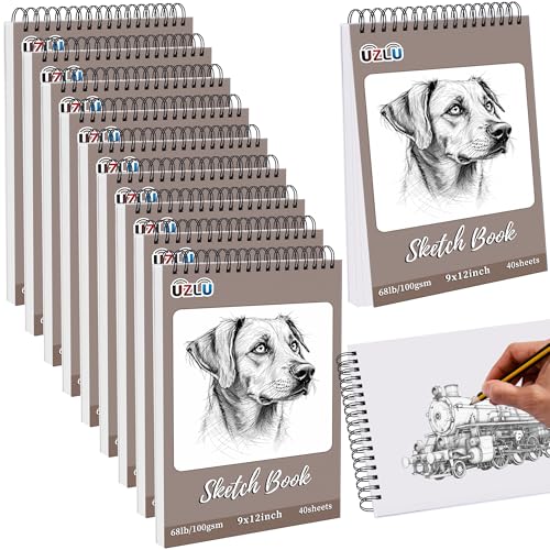 10 Pcs Sketch Book Bulk 9 x 12 in 400 Sheets Top Spiral Bound Sketch Pad Drawing Paper 40 Sheets Each Acid Free Mixed Media Sketchbook 68lb/100gsm Art Supplies for Beginner Artist - size: 9x12in, style: 10 Pack-Total 400 sheets