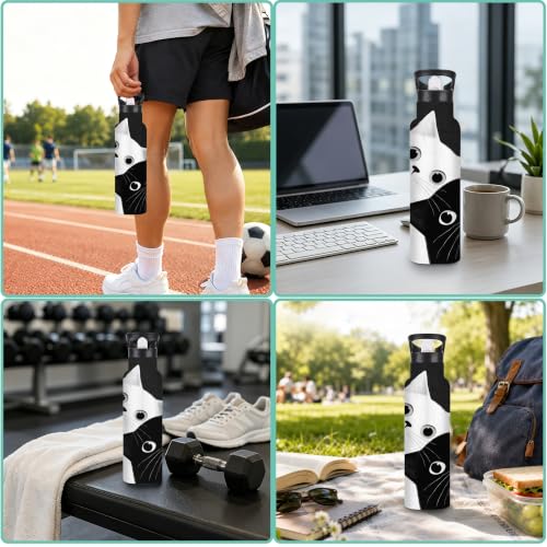 Insulated Water Bottle,Two Cats 20 oz Stainless Steel Water Bottles with Straw Lid,Black White Leak Resistant Double Insulated Flask with Handle,Fits Cup Holder,Keeps Drinks Cold - color: Two Cats,Black White