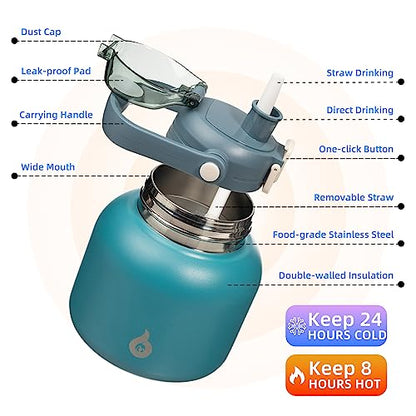 BJPKPK Insulated Water Bottles with Straw, 20 oz Cute Water Bottles with Handle, BPA Free Stainless Steel Metal Jug, Easy Carry Flasks for Men & Women, Light Blue - color: 20 ozLight Blue, size: 20 Ounces