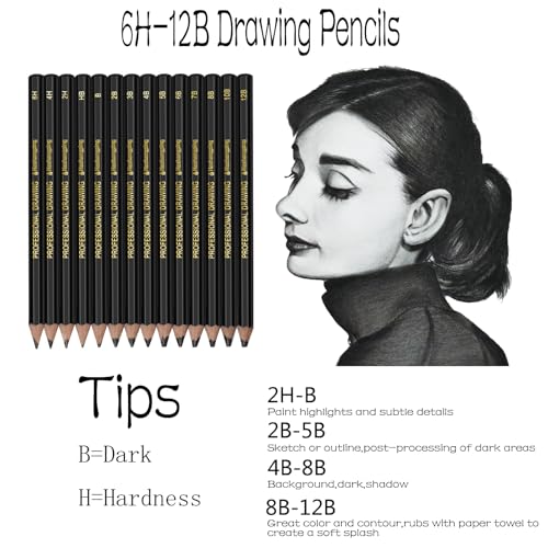 Heshengping Drawing Sketch Pencil Set 14pcs Sketching Pencils 12B 10B 8B 7B 6B 5B 4B 3B 2B B HB 2H 4H 6H Graphite Pencils for Kid Adults Artists Student Beginners Professional - color: Style3