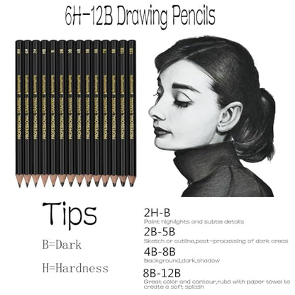 Heshengping Drawing Sketch Pencil Set 14pcs Sketching Pencils 12B 10B 8B 7B 6B 5B 4B 3B 2B B HB 2H 4H 6H Graphite Pencils for Kid Adults Artists Student Beginners Professional - color: Style3