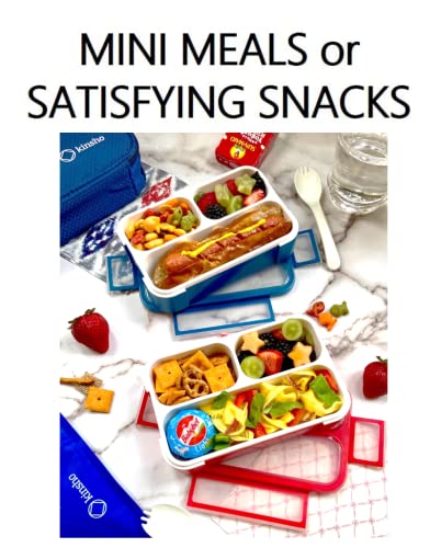 Small Snack Containers for Kids Toddlers - 3 Compartments (Set of 2) - Leak-Proof Boxes with Lids - BPA-Free Plastic Mini Bento Lunch Box - Ideal for School & Daycare, Holds 2 Cups (Red + Navy Blue) - color: Red + Navy Small 2pk