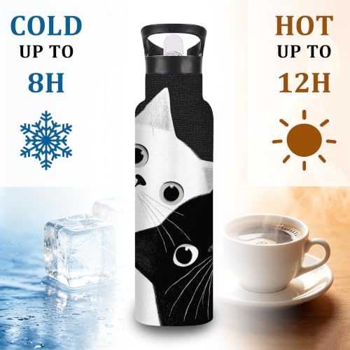 Insulated Water Bottle,Two Cats 20 oz Stainless Steel Water Bottles with Straw Lid,Black White Leak Resistant Double Insulated Flask with Handle,Fits Cup Holder,Keeps Drinks Cold - color: Two Cats,Black White