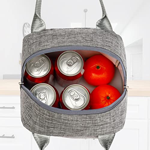 FlowFly Insulated Lunch Cooler Bag - Tote Bag Organizer for Women/Men, Heather Grey - color: Gray