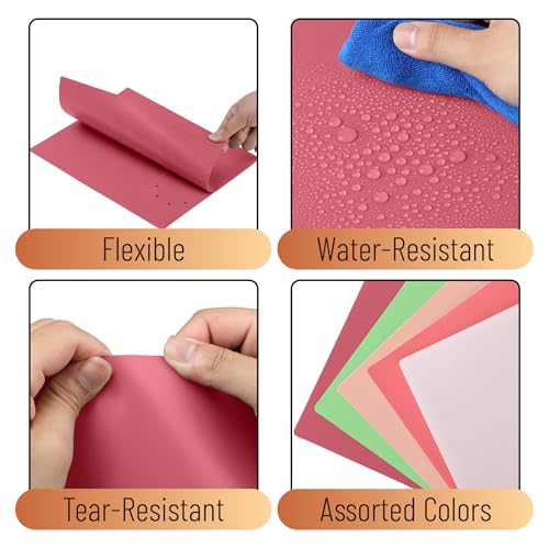 Mr. Pen- Plastic Folders with Pockets, 5 pcs | Aesthetic File Folder with Business Card Slot, 2-Pocket Folder, Back to School, Office, Filing Supplies - color: Rose Garden, size: 5 Pack