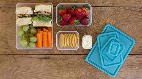 Reusable Lunch Containers - Set of 4 Microwave Safe, Meal Prep Stackable Nesting Containers, Pack Food, Snacks & Sauces in Leak Proof Compartments w/Lids, Easy to Clean, Fits in Bags & Bento Boxes