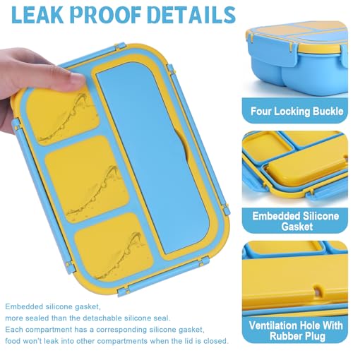 shell and turtle Bento Box for Kids Girls Boys, Bento Box Adult Lunch Box with 4 Compartments, Lunch Containers with Utensils, Sauce Jar, Muffin Liners for School, 40 Oz/5 Cup, Blue - color: Blue