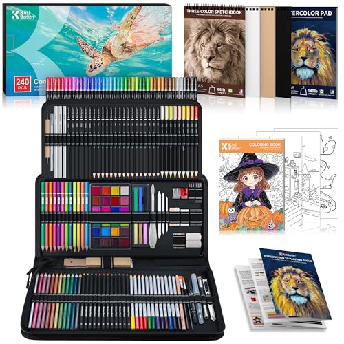 240PCS Artists Art Supplies - Drawing Kit with 3 Sketchbook, Coloring book - Graphite,Colored, Charcoal, Watercolor,Metallic,Fluorescent & Rainbow Pencils - for Artists and Beginners