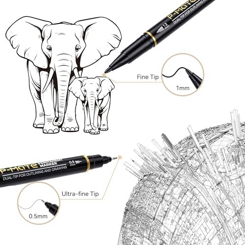 deli Twin Tip Permanent Markers, Fine Point and Ultra Fine Point for Signature and Marking, Black, 12 Count